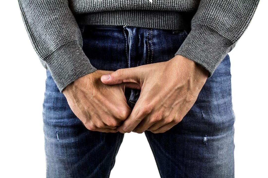 Features of the male body